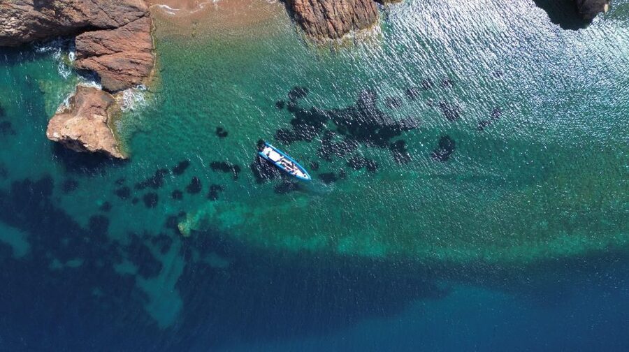 Nice: Lerins Islands Boat Tour with Snorkeling - Key Points at a Glance