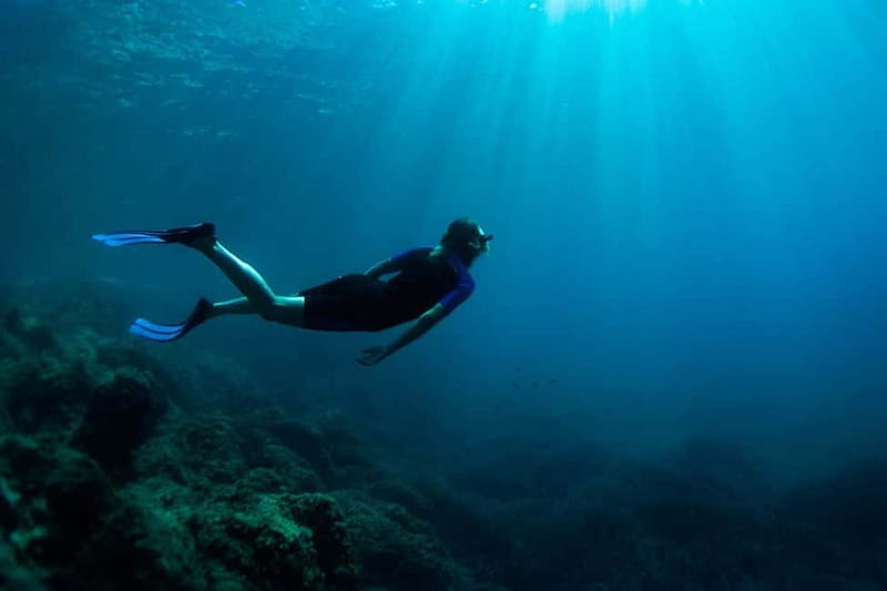 Nice: Snorkeling Speedboat Tour in Villefranche Bay - Should you book the Villefranche Bay tour?