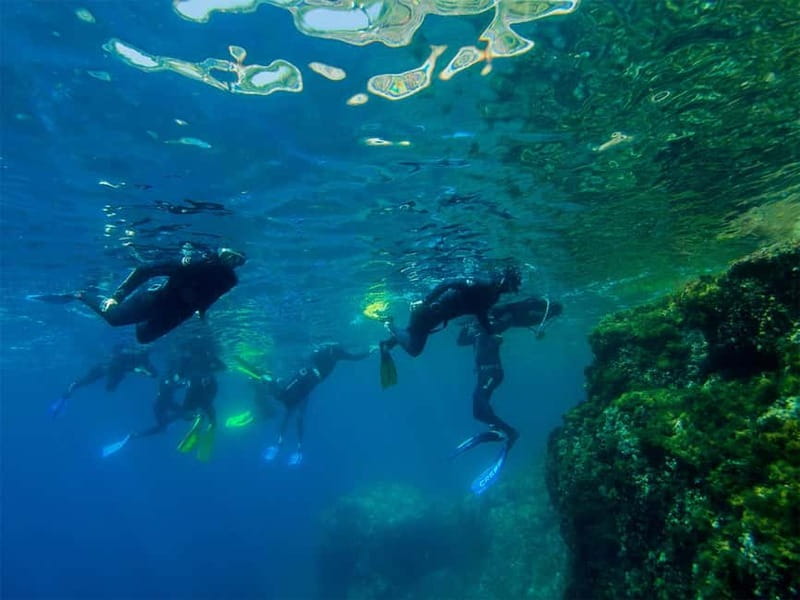 Nice: Snorkeling Speedboat Tour in Villefranche Bay - One hour among fish and rocky seabeds
