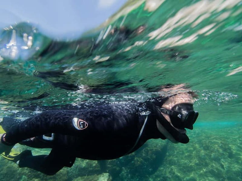 Nice: Snorkeling Speedboat Tour in Villefranche Bay - Why beginners tend to feel at ease