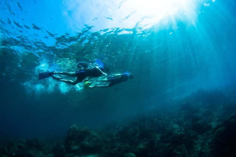 Nice: Snorkeling Speedboat Tour in Villefranche Bay - Jellyfish, waves, and the practical side of nature