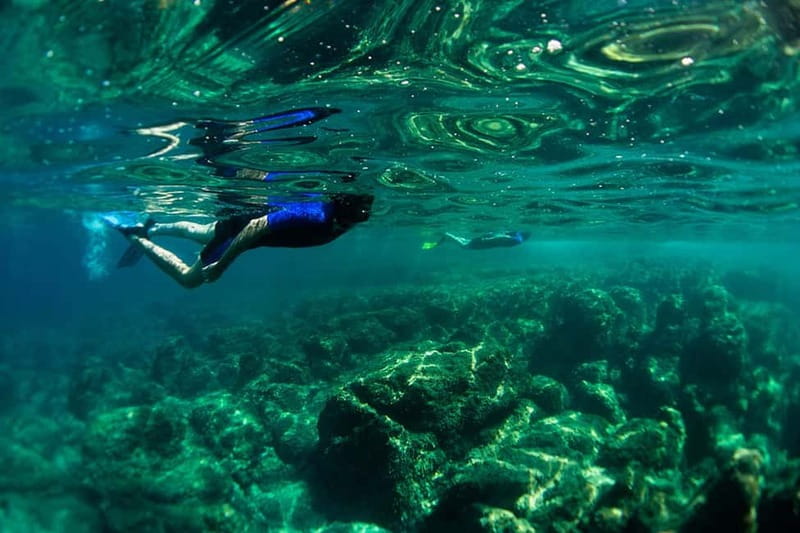 Nice: Snorkeling Speedboat Tour in Villefranche Bay - The speedboat ride is part of the attraction