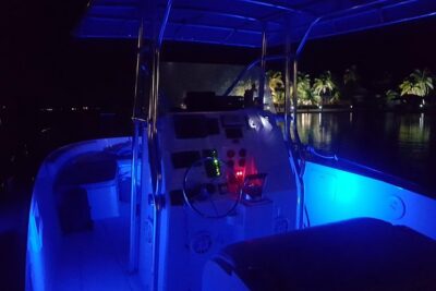 Night Bioluminescence Snorkel Tour