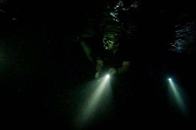 Night Snorkeling Adventure - Who Should Book This Night Swim