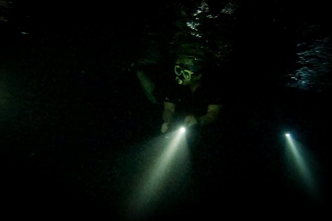 Night Snorkeling Adventure - Practical Details That Make the Evening Easier