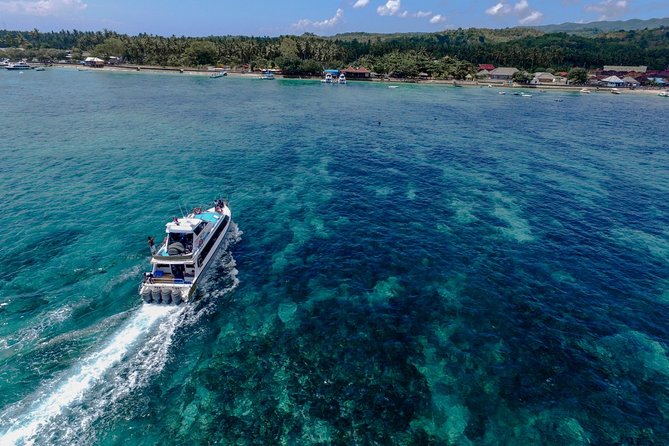 Nusa Lembongan Island: Snorkeling & Mangrove Forest Day Tour - Snorkeling among fish and coral