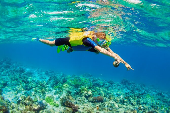Nusa Lembongan Island: Snorkeling & Mangrove Forest Day Tour - Hotel pickup and the journey to the island