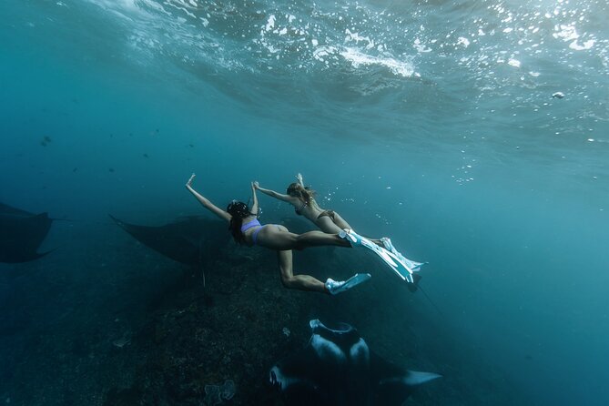 ️Nusa Penida by Private Boat - Snorkeling 4 spots, Swim with Mantas + Land Tour - Quick points to know before booking