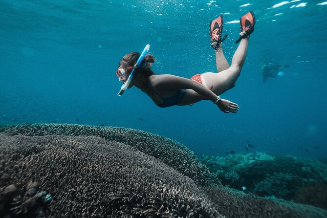 Nusa Penida day trip: boat, 4 snorkeling, Manta rays & Land tour - Why this Nusa Penida day trip works