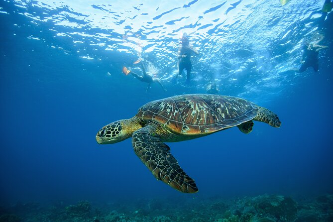 Nusa Penida day trip: boat, 4 snorkeling, Manta rays & Land tour - SD Point near Nusa Penida