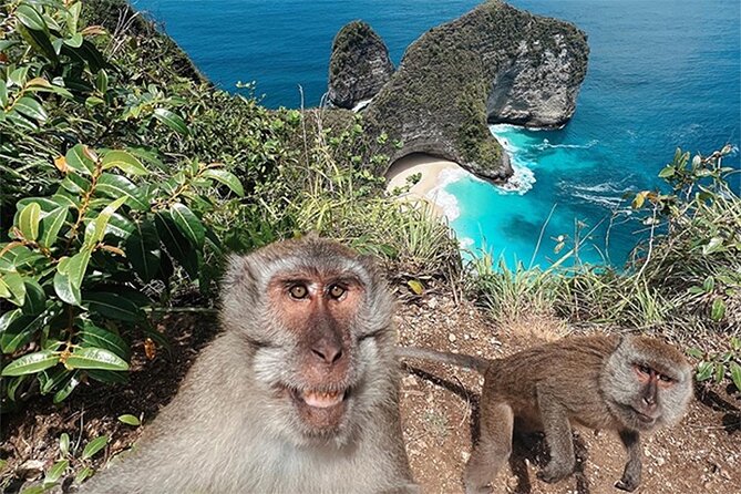 Nusa Penida day trip: boat, 4 snorkeling, Manta rays & Land tour - Kelingking Beach by private car