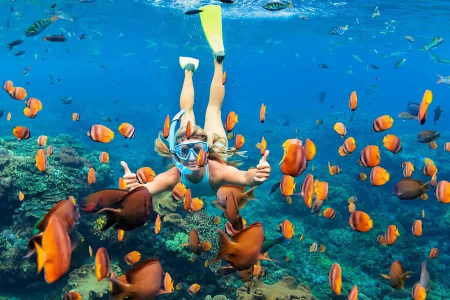 Nusa Penida: Full-Day Guided Snorkeling & Island Tour - Key points to know before booking