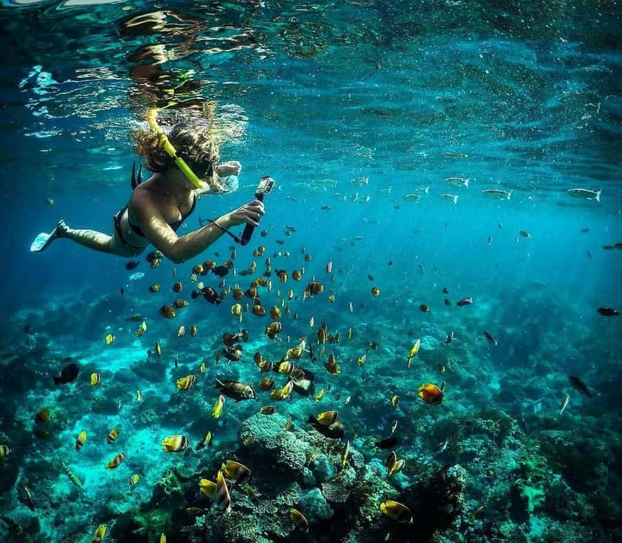 Nusa Penida: Full-Day Guided Snorkeling & Island Tour - A long day from your Bali hotel to Sanur Harbor