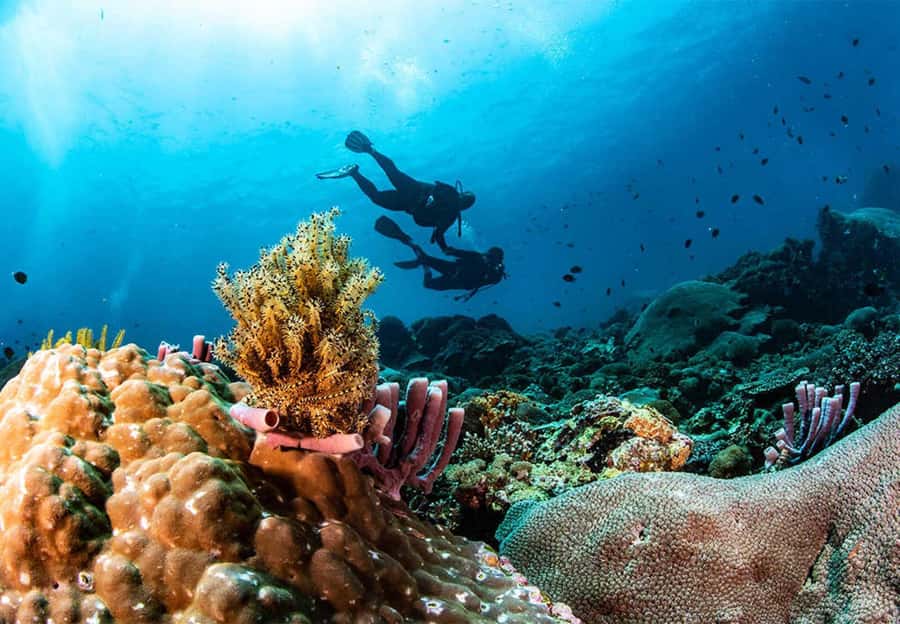 Nusa Penida: Full-Day Guided Snorkeling & Island Tour - Kelingking Beach and the famous cliff view