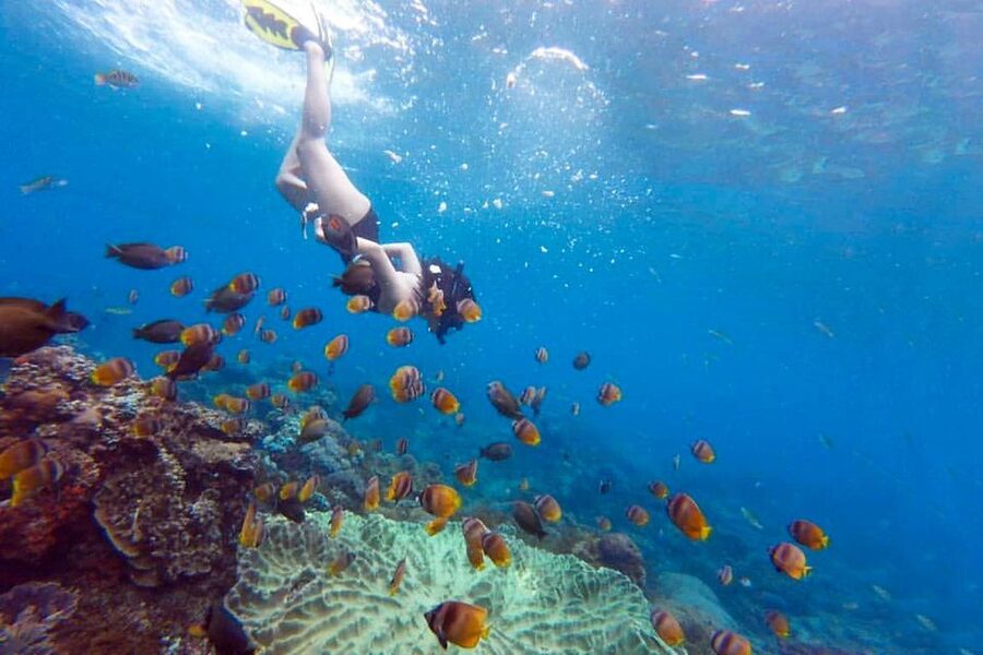 Nusa Penida: Full-Day Guided Snorkeling & Island Tour - Practical advice for making the day easier