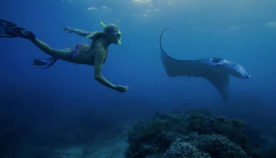 Nusa Penida: Full Day Private Snorkeling With Manta Ray - Key details to know before booking
