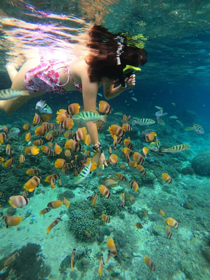 Nusa Penida: Full Day Private Snorkeling With Manta Ray - Is $64 good value?