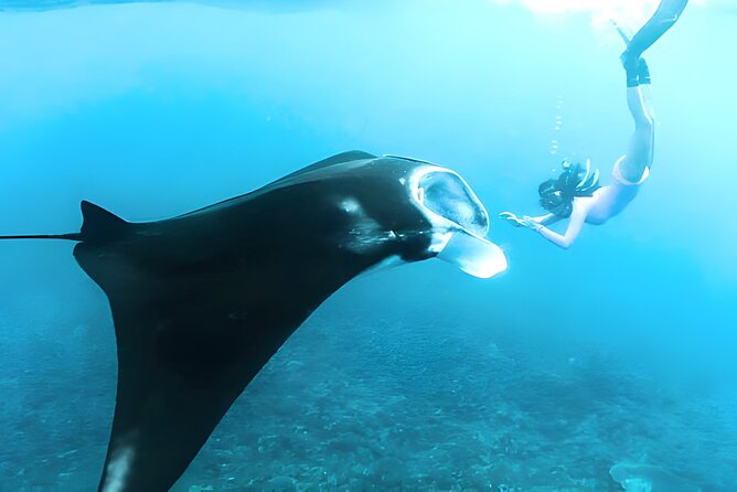 Nusa Penida Island Beach Tours with Snorkeling From Bali - The big appeal: Penida without arranging every transfer