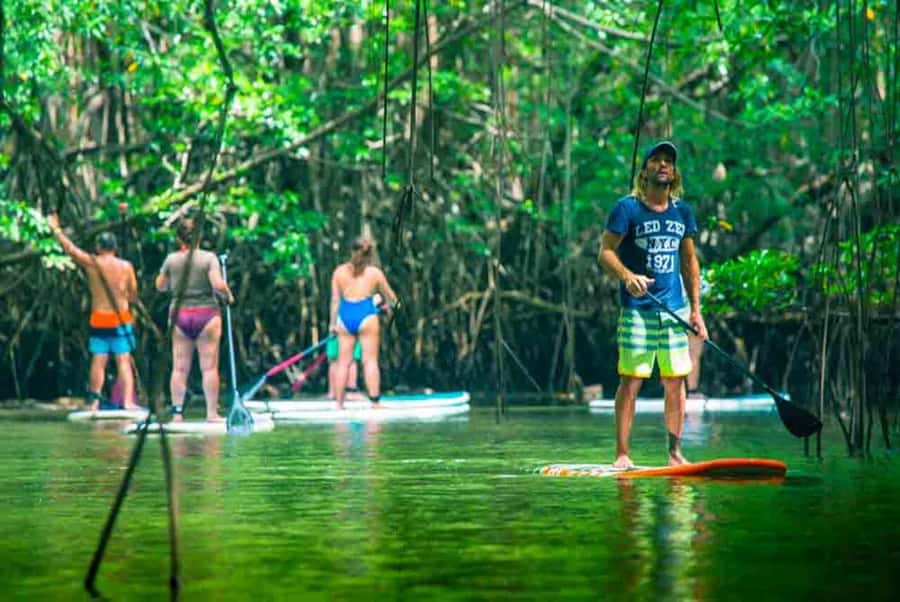 Nusa Penida: Snorkel 3 Spots w/ GoPro & Mangrove Paddle Tour - What the guides and boat operation add