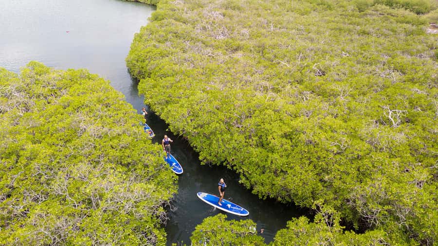 Nusa Penida: Snorkel 3 Spots w/ GoPro & Mangrove Paddle Tour - Who should book this Nusa Penida outing?