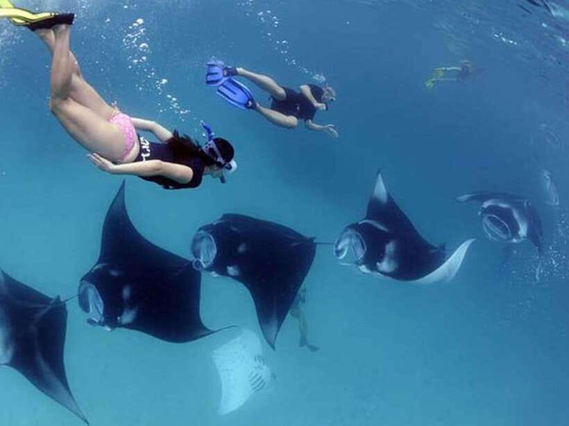 Nusa Penida: Snorkeling 3-4 spots and island tour with guide - Key points to know before booking