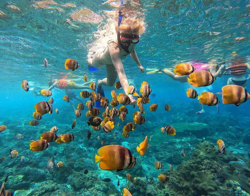 Nusa Penida: Snorkeling 3-4 spots and island tour with guide - Gamat Bay and The Wall
