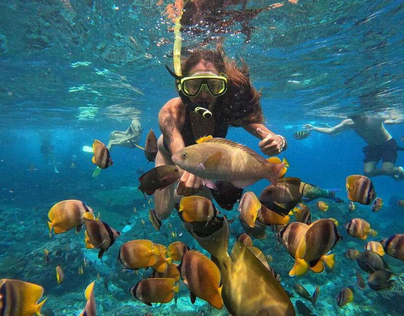 Nusa Penida: Snorkeling 3-4 spots and island tour with guide - Who should choose this trip