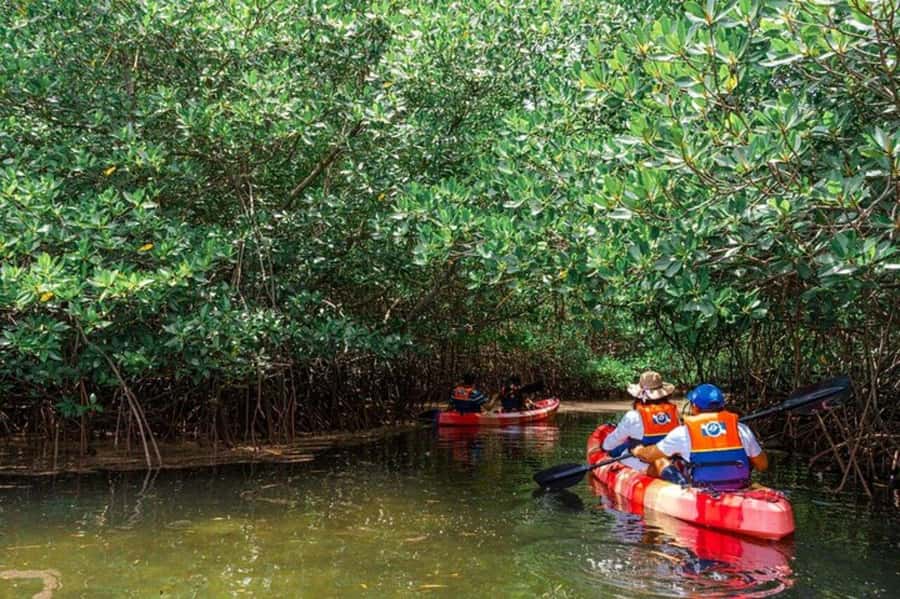 Nusa Penida: Snorkeling 3 Spots with GoPro & Kayak Mangroves - Crystal Bay and the limits of clear water