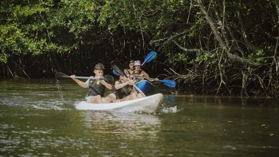 Nusa Penida: Snorkeling 3 Spots with GoPro & Kayak Mangroves - The GoPro promise and photo expectations