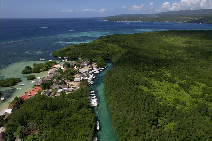 Nusa Penida: Snorkeling 3 Spots with GoPro & Kayak Mangroves - Mangrove Point brings a welcome change