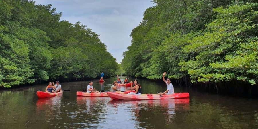 Nusa Penida: Snorkeling 3 Spots with GoPro & Kayak Mangroves - What the $16 price really covers