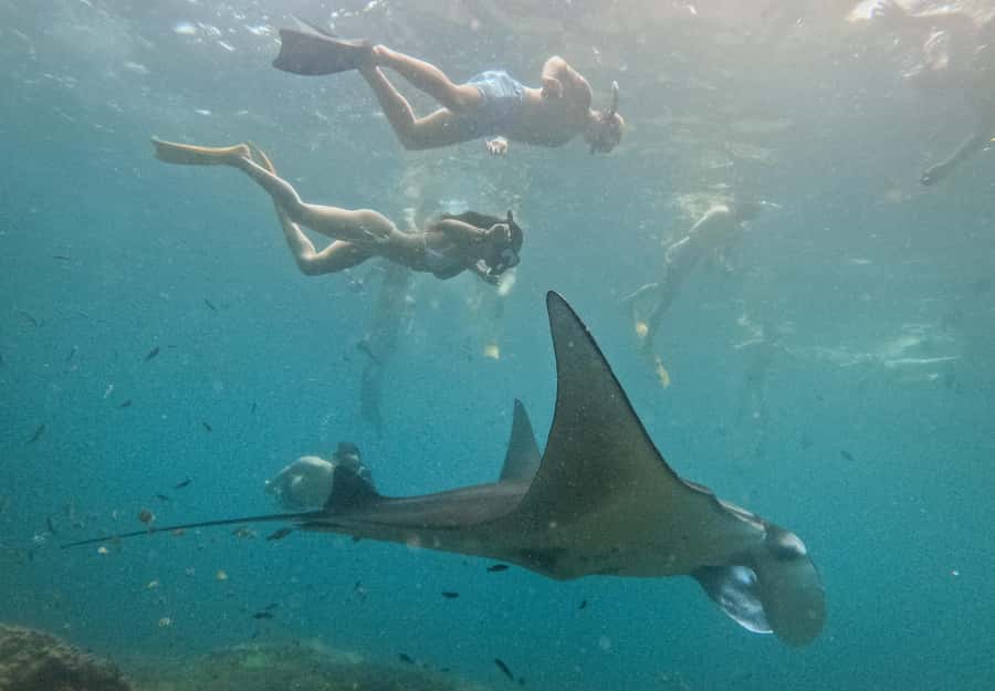 Nusa Penida: Snorkeling 3 Spots with GoPro & West Land Tour - Key points to know before booking