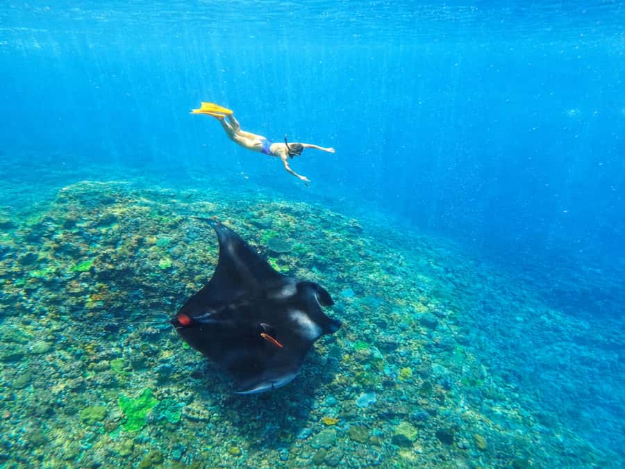 Nusa Penida: Snorkeling 3 Spots with GoPro & West Land Tour - Manta Bay and the reality of open water