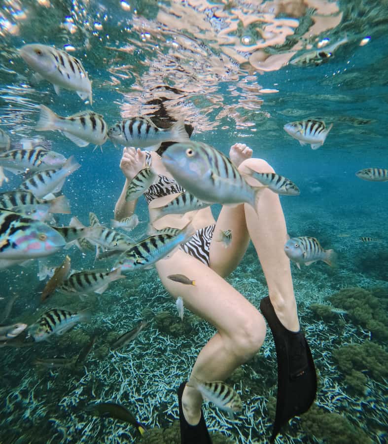 Nusa Penida: Snorkeling 3 Spots with GoPro & West Land Tour - Starting at Wonderland Manta Penida