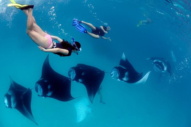 Nusa Penida Snorkeling Adventure (Private & All-Inclusive) - The 6:00 a.m. Pickup And Sanur Crossing