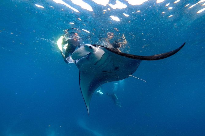 Nusa Penida Snorkeling Adventure (Private & All-Inclusive) - Lunch And The Private Island Drive