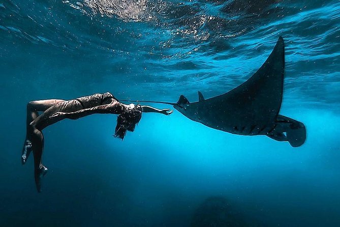 Nusa Penida Snorkeling Adventure (Private & All-Inclusive) - Four Snorkeling Areas Around Nusa Penida