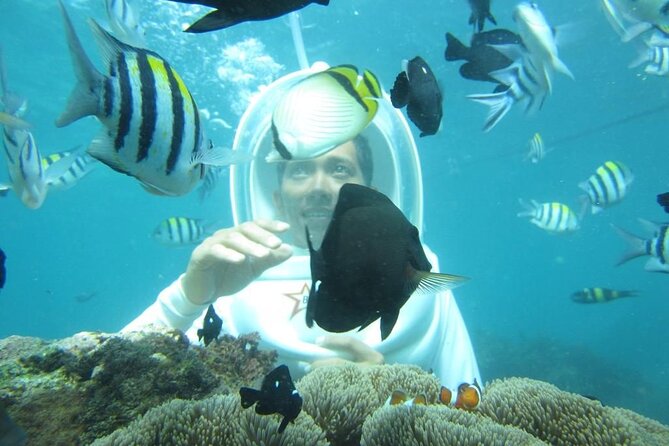 Nusa Penida Trip with Snorkeling all-Inclusive - Why this Penida day trip works