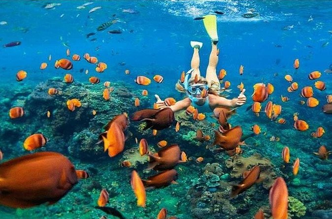 Nusa Penida Trip with Snorkeling all-Inclusive - Lunch and the value of the $81 price