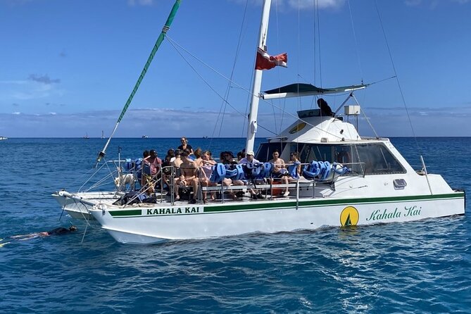Oahu Catamaran Snorkel Tour: See Turtles 100% Guaranteed - What the $49.95 price really buys