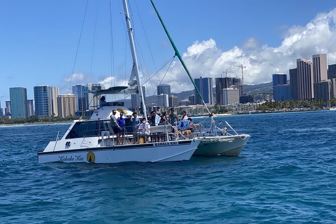 Oahu Catamaran Snorkel Tour: See Turtles 100% Guaranteed - Who should book this Turtle Canyon tour