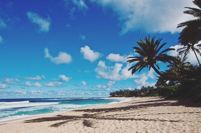 Oahu Circle Island Tour with Turtle Snorkeling— Small-Groups - Why this Oahu tour works well as a first-day overview