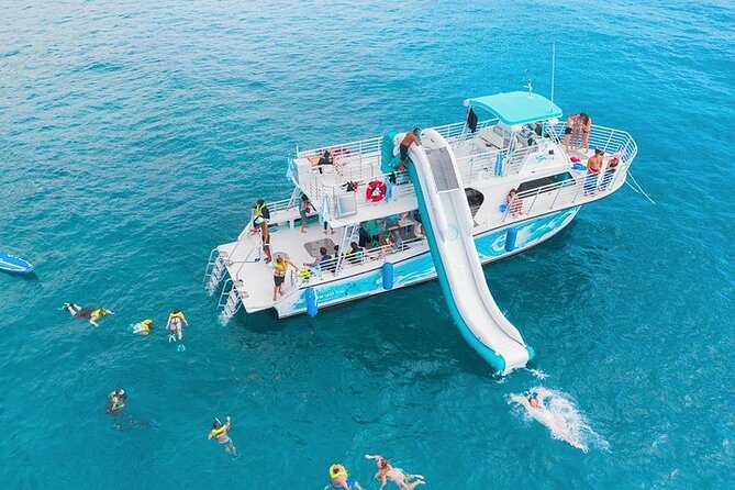 Oahu Dolphin and Snorkel Tour with Waikiki Pickup & Lunch - The quick take