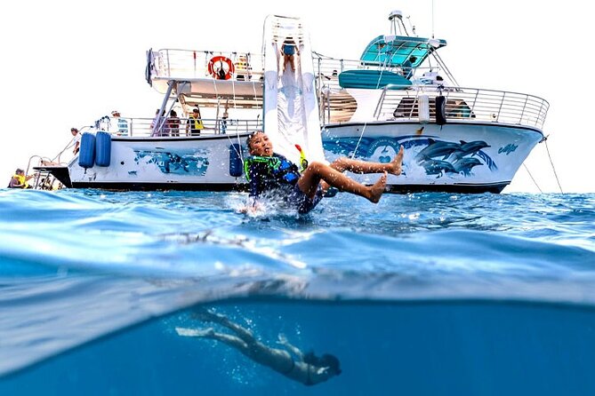 Oahu Dolphin and Snorkel Tour with Waikiki Pickup & Lunch - Snorkeling with turtles and reef fish
