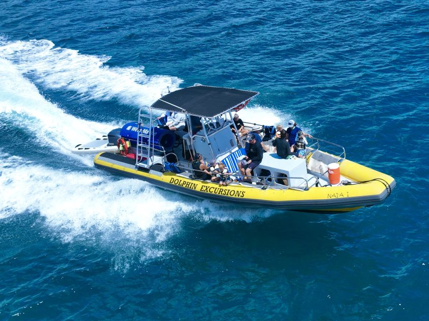 Oahu: Dolphin Swim and Turtle Snorkel Excursion in Waianae - Searching for dolphins in the wild