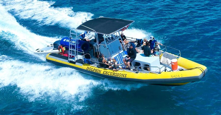 Oahu: Dolphin Swim and Turtle Snorkel Excursion in Waianae - Hotel pickup takes longer than the boat ride