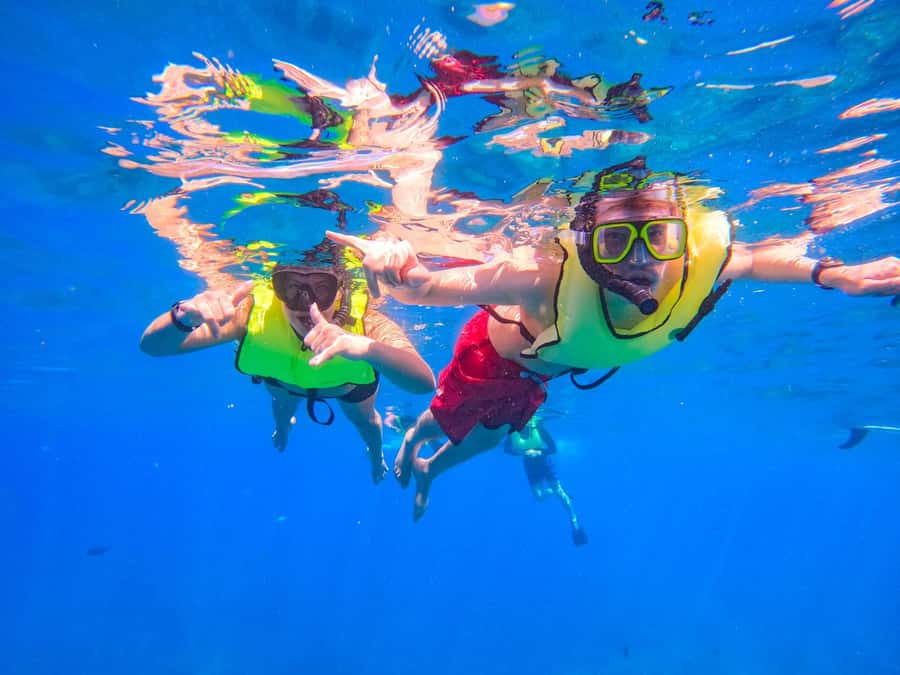 Oahu: Dolphin Watching & Turtle Snorkeling with Waterslide - Is $190 a fair price?