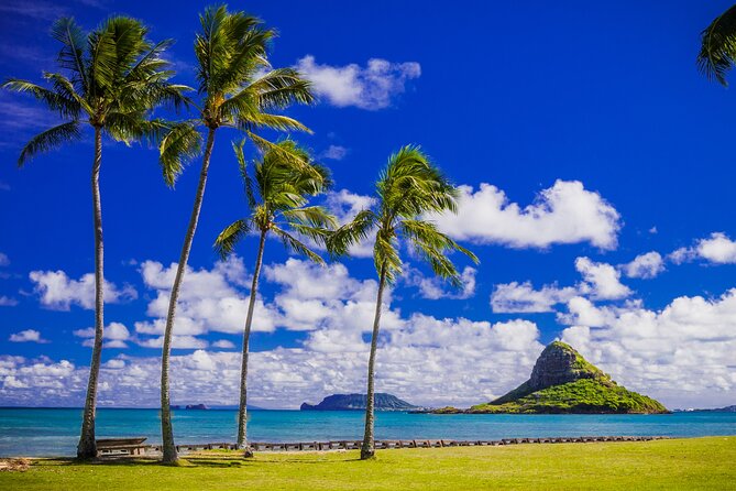 Oahu: Grand Tour Around Island 16 Locations plus Snorkeling - Haleiwa, Dole Plantation, and central Oahu