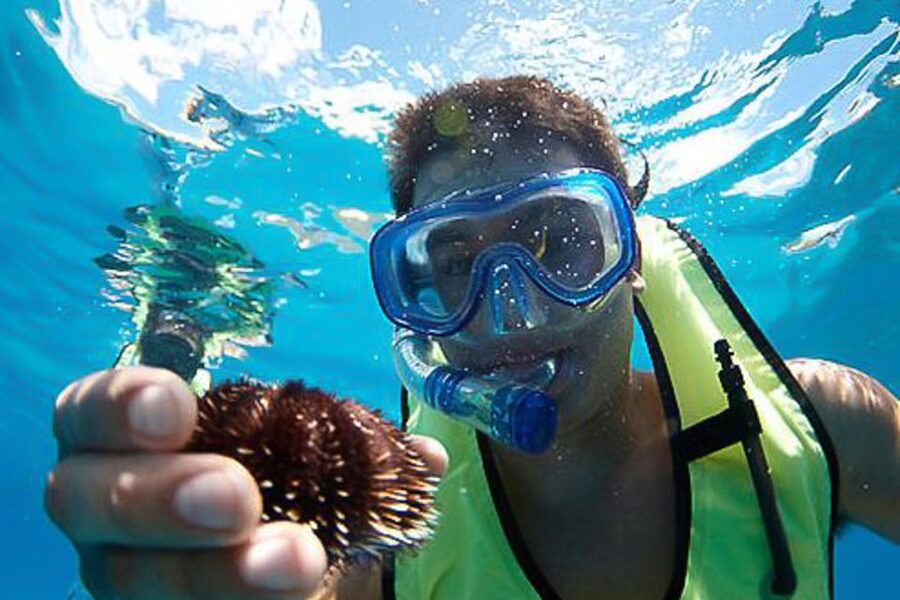 Oahu: Hilton Hawaiian Village Snorkel Tour - Setting out from the Hilton Hawaiian Village