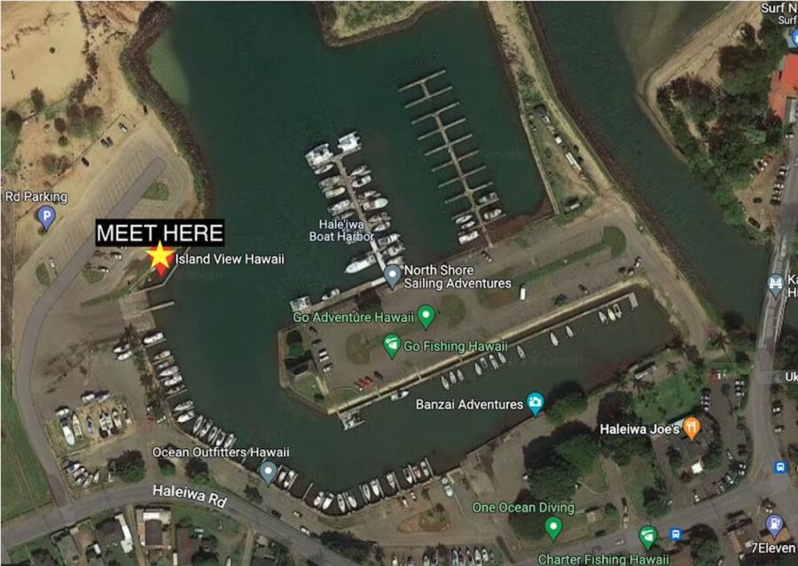 Oahu: North Shore Cageless Shark Snorkeling Tour - The boat ride can be wet and rough